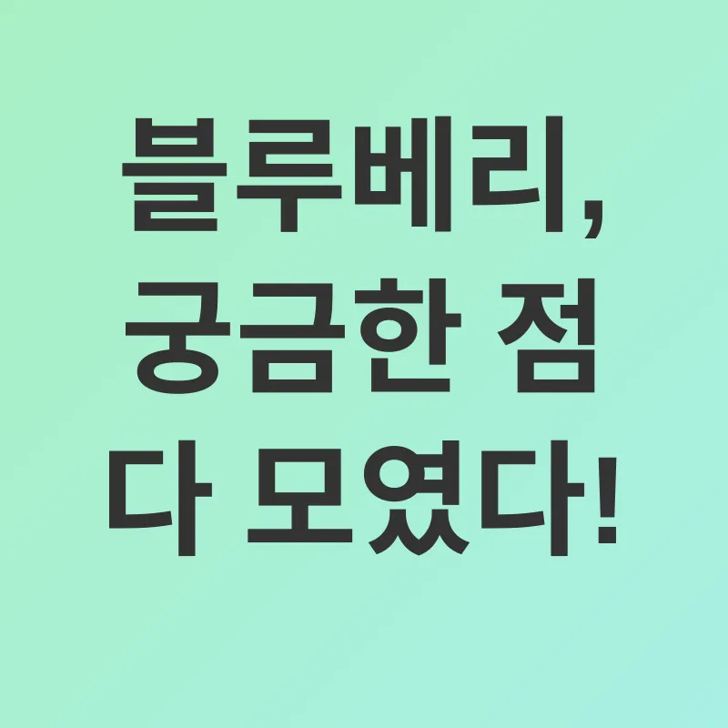 블루베리 효능_4