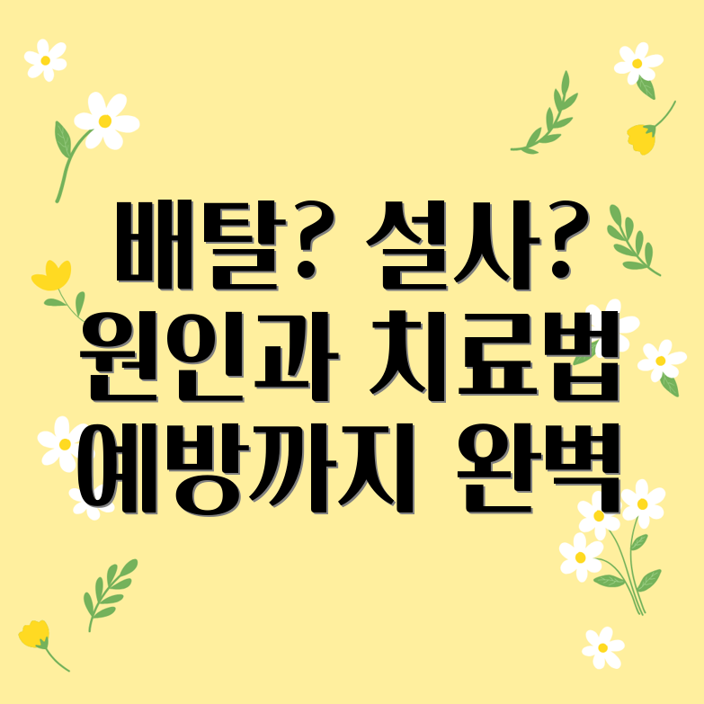 배탈 설사