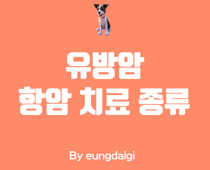  유방암 항암 치료