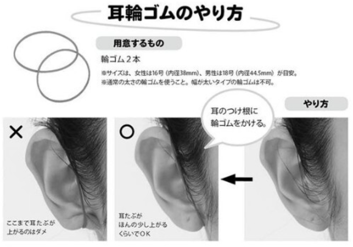 사토케이지 림프케어 방법&#44; 고무줄은 귀가 전부 감싸지도록 걸어 주어야 한다.