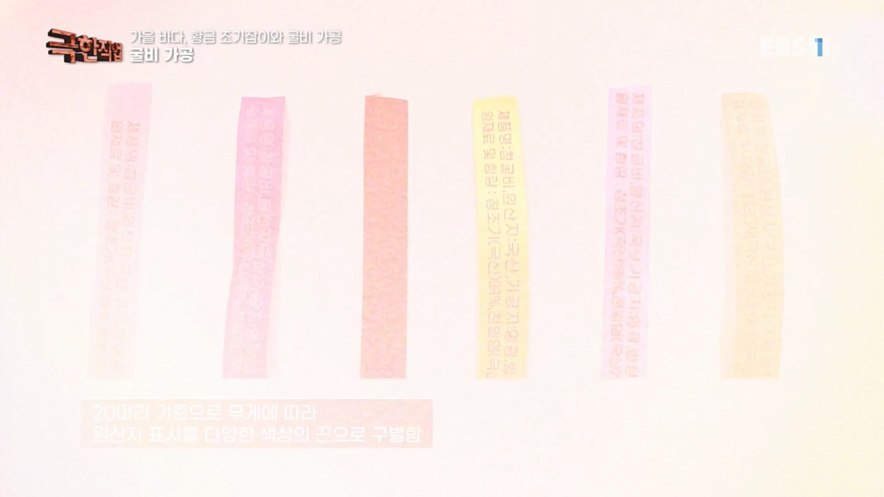 TV - 교육의 중심 EBS가을 바다 황금 조기잡이와 굴비 가공.mp4_20221122_195443.665.jpg