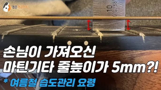 여름철 습도 관리 완벽 가이드 건강한 실내 환경_5