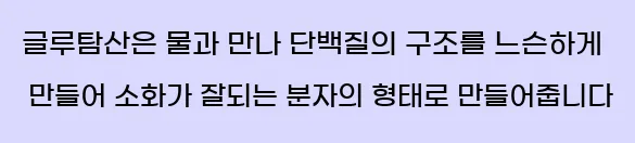  글루탐산은 물과 만나 단백질의 구조를 느슨하게 만들어 소화가 잘되는 분자의 형태로 만들어줍니다