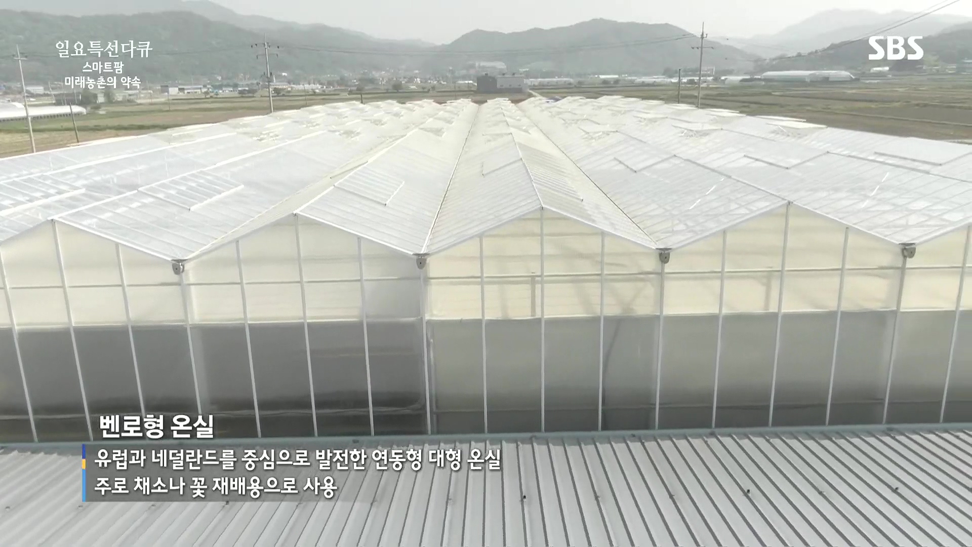 일요 특선 다큐멘터리.E348.240804p.H264-F1RST.mp4_20240805_195627.264.jpg