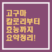  고구마 칼로리부터 효능까지 총정리!
