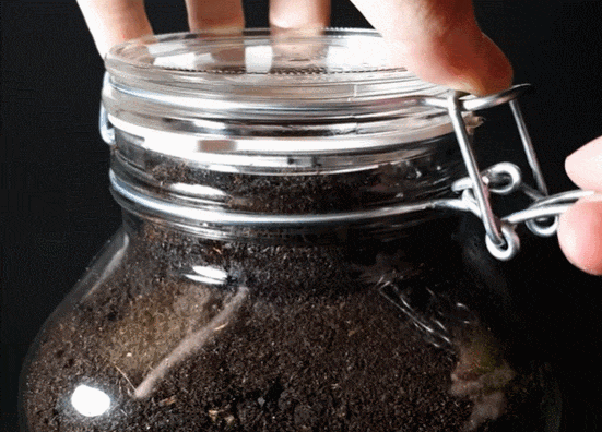 [자연의 신비] 1년 동안 흙이 담긴 병 속의 담배는 어떤 일이 일어났나 VIDEO:Hypnotic Timelapse Shows What Happens to Cigarettes in Soil for a Year