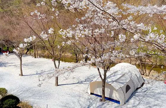 봉화별캠핑장
