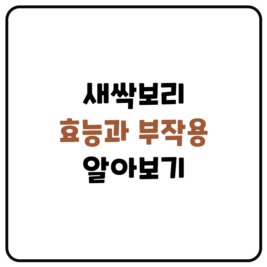  새싹보리 효능과 부작용 정리