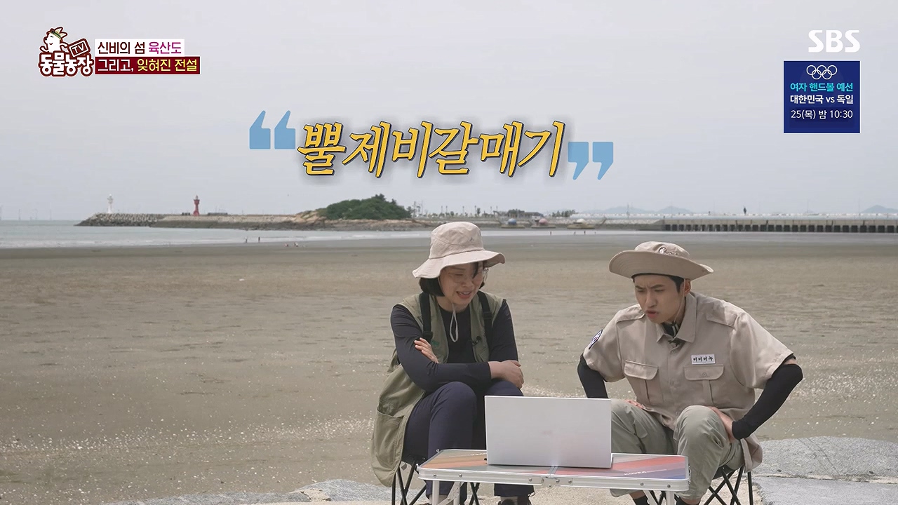 TV 동물농장.E1181.240722p-NEXT.mp4_20240721_165555.859.jpg