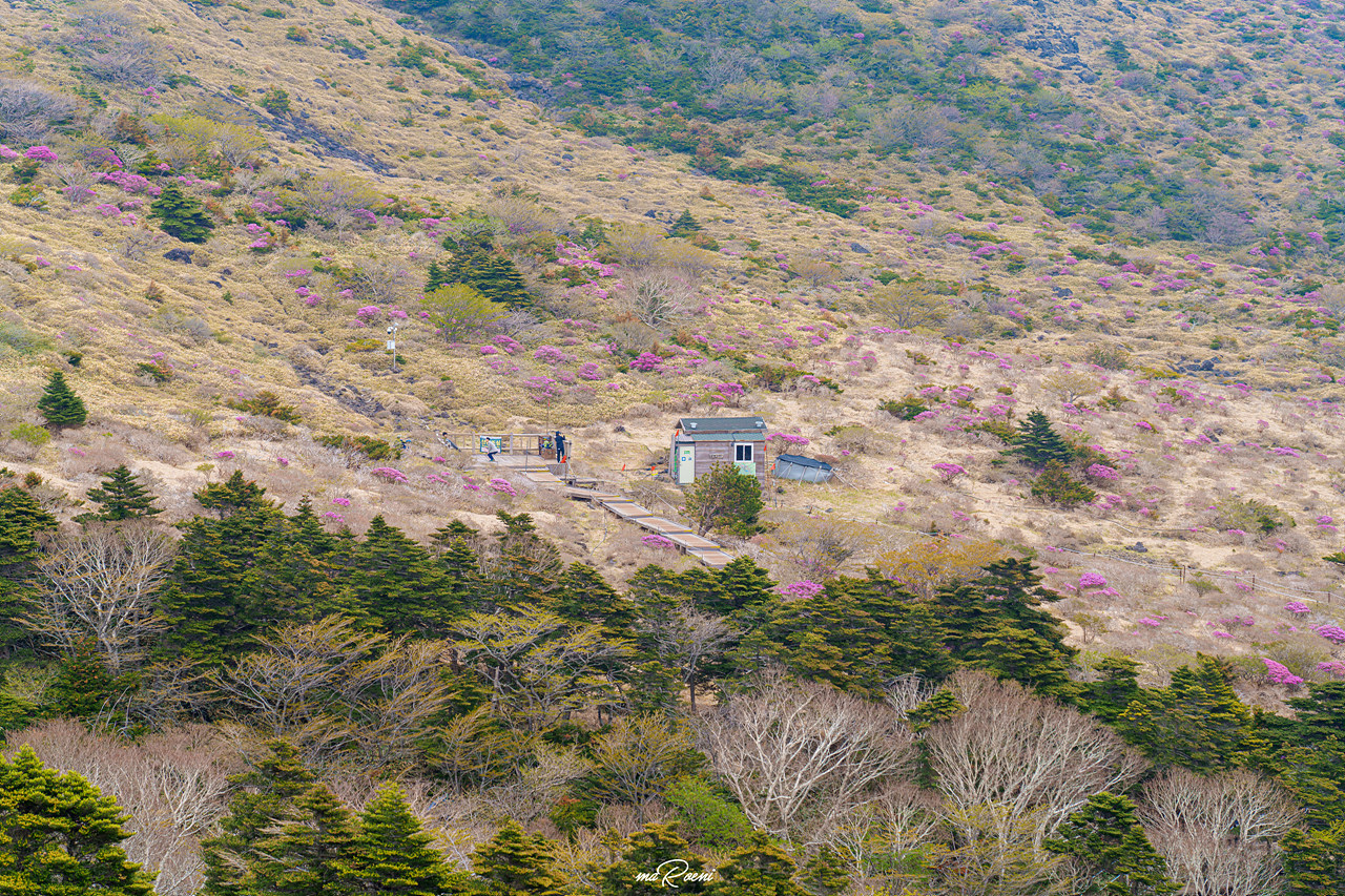 백록담