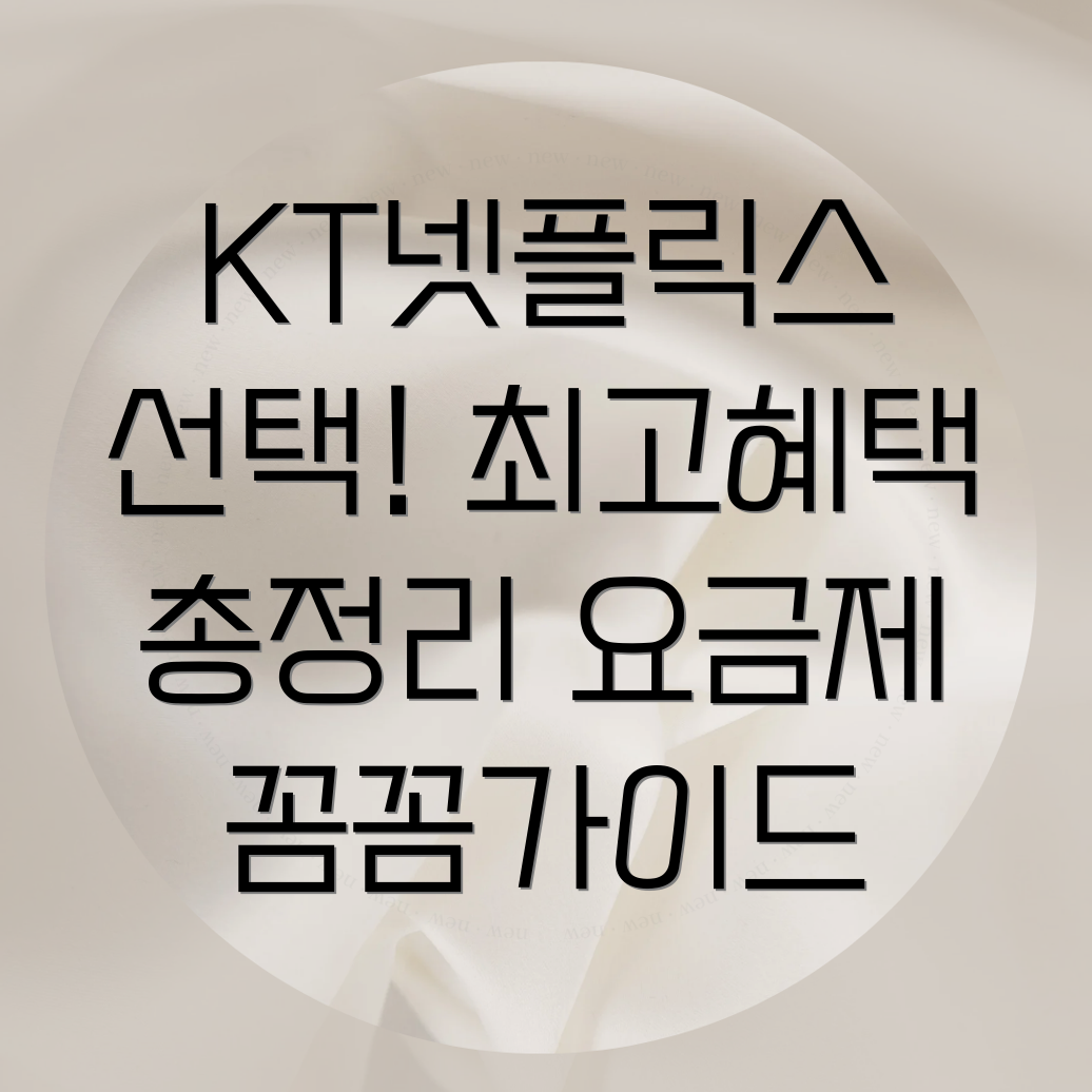 KT 넷플릭스 초이스