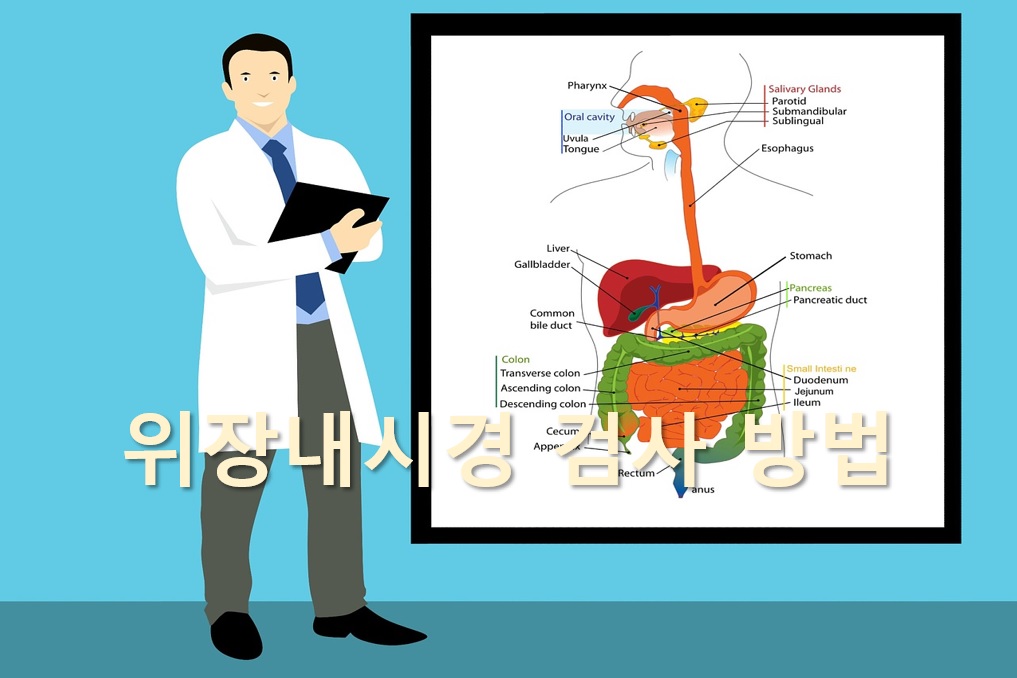  식도, 위, 십이지장을 관찰하는 위장내시경 검사 방법
