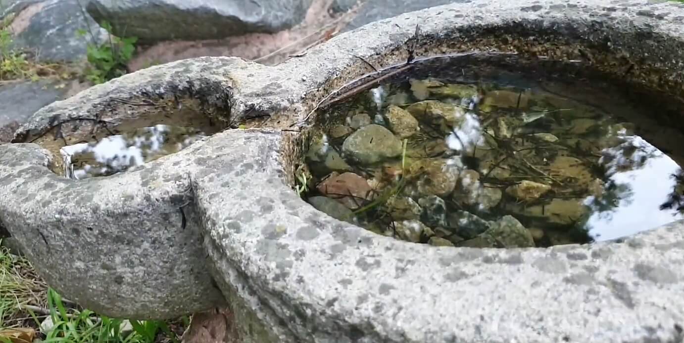 산림자원연구소