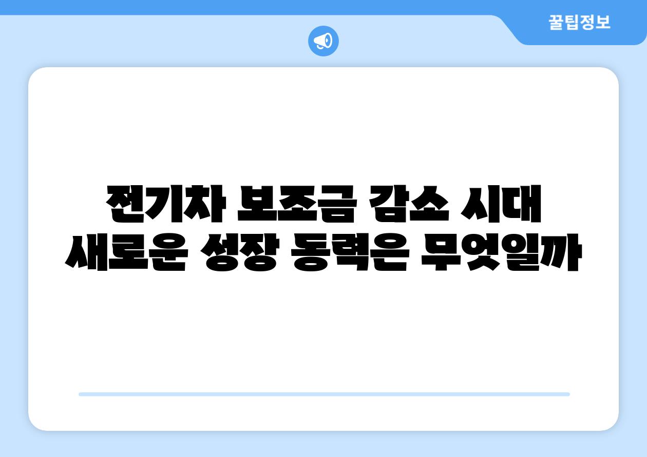 전기차 보조금 감소 시대 새로운 성장 동력은 무엇일까