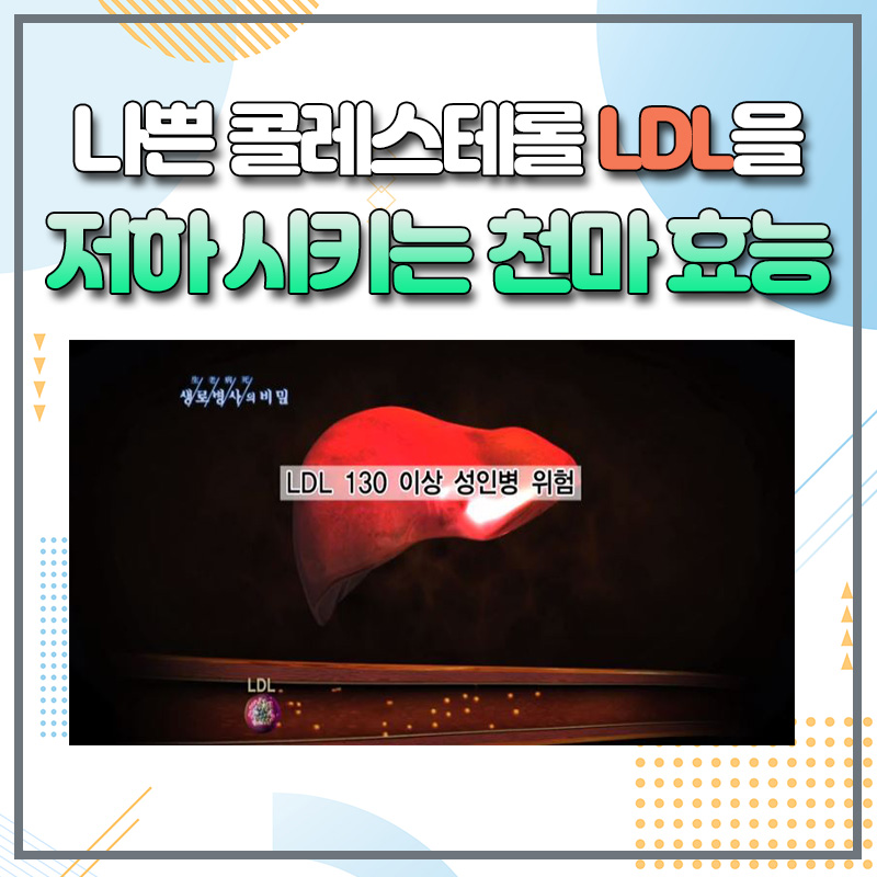 높이를 높이는 쉬운 방법 고지혈증 치료 효과