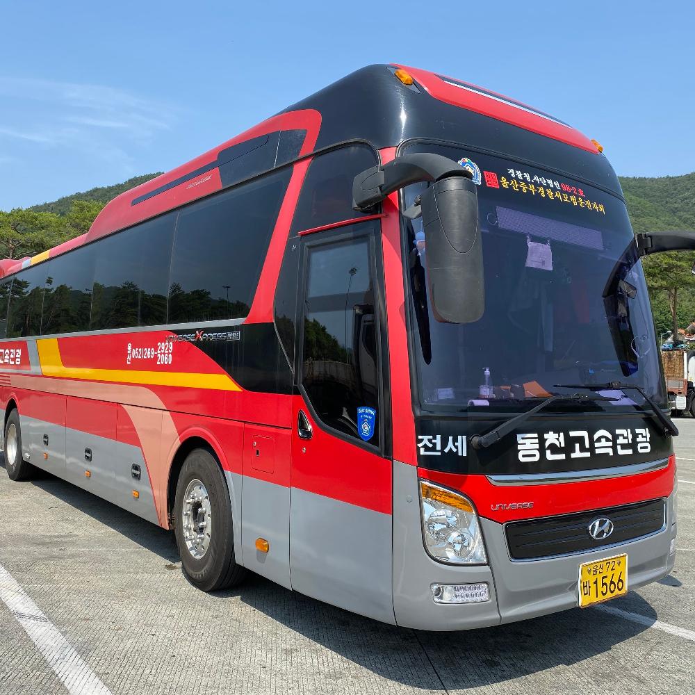 [경주 당일치기 2] 아이들과 떠나는 경주여행, 세계문화유산투어, 맛집추천