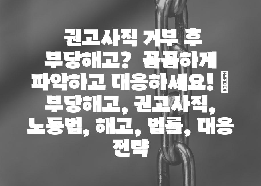 샘플 (61)