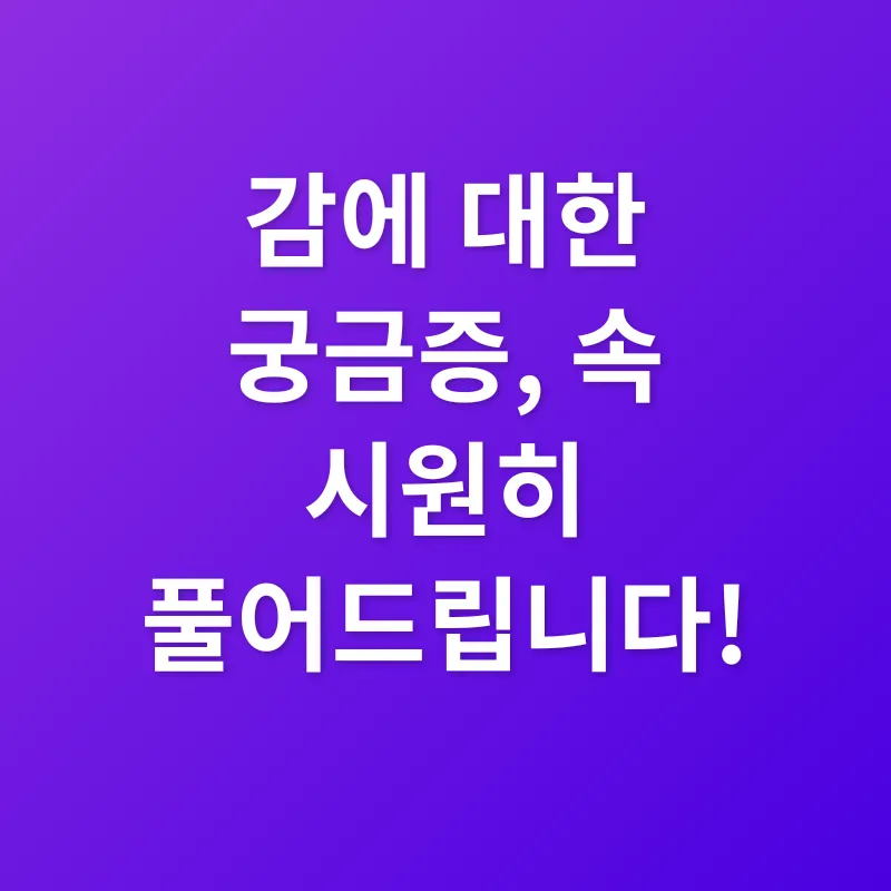 감_4