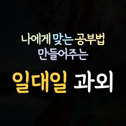  안양비산동 영어과외 관양동 수학과외 초등 중등 고등 국어과외 중학생 일대일 내신 전문 수능 대비
