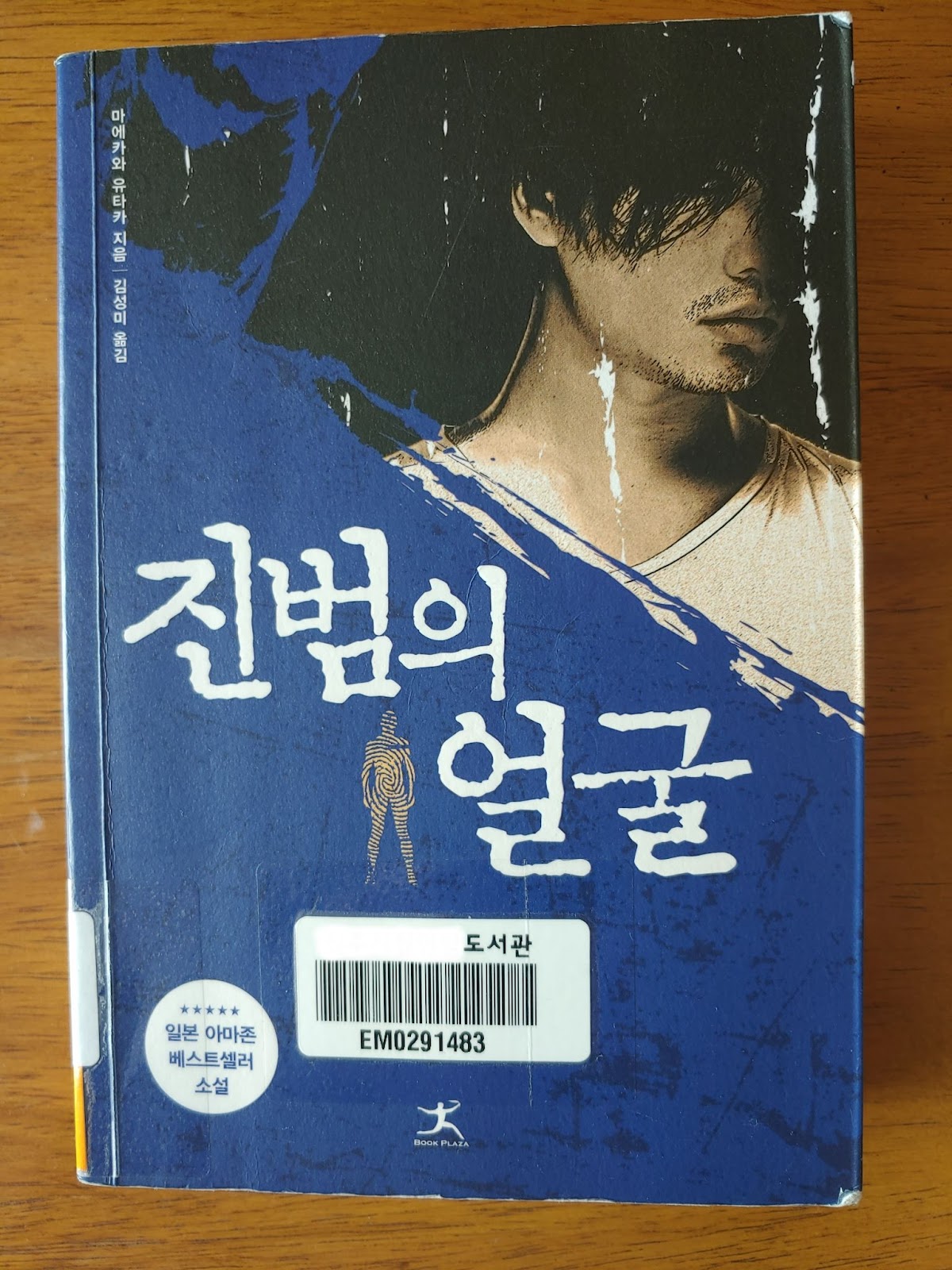  진범의 얼굴 - 마에카와 유타가