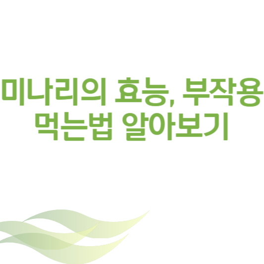 미나리의 효능과 부작용&#44; 잘 먹는 법