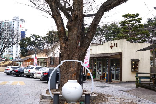 사기막골 골목 길가에 노거수&#44; 느티나무&#44; 앞에는 백자&#44; 뒤로는 카페&#44; 주차된 차량들&#44;