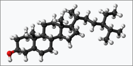 베타-시토스테롤 분자모형