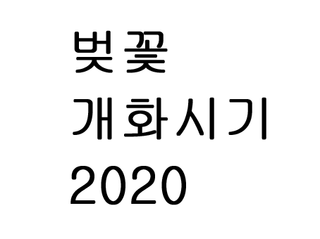  벚꽃 개화시기 2020
