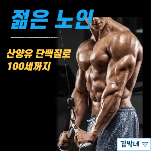 산양유단백질