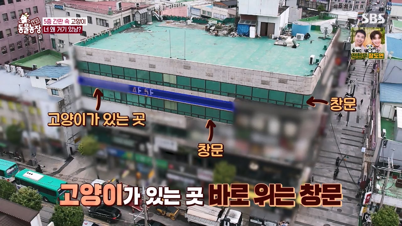 TV 동물농장.E1146.231120p-NEXT.mp4_20231119_175249.797.jpg