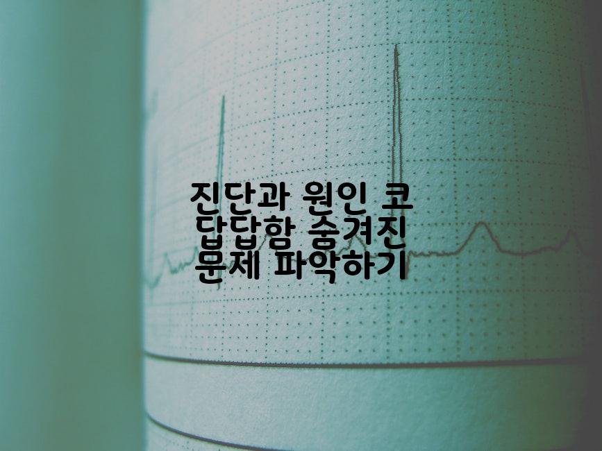 진단과 원인 코 답답함 숨겨진 문제 파악하기