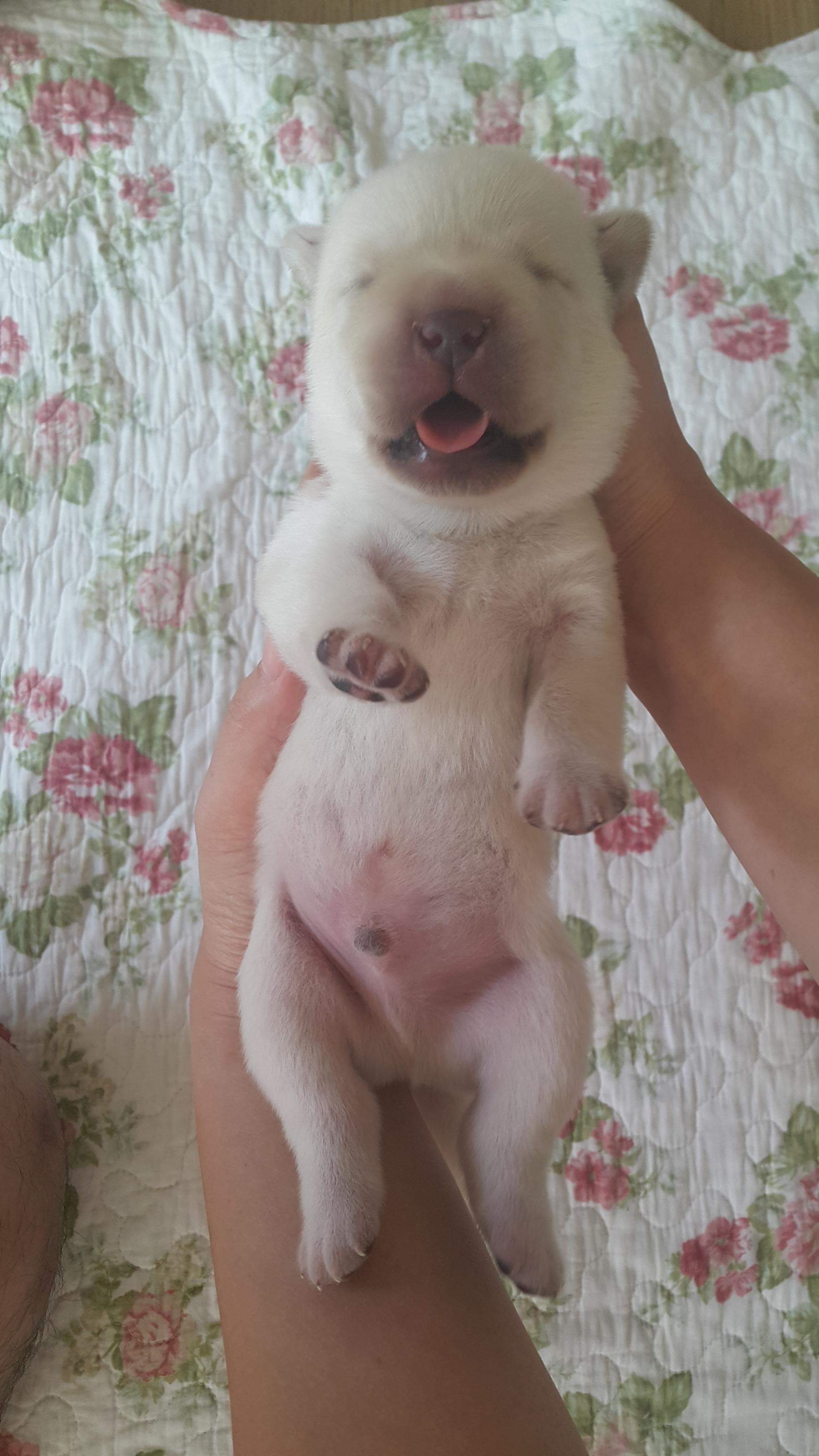  다섯번째 페이지.(두부 성장기)