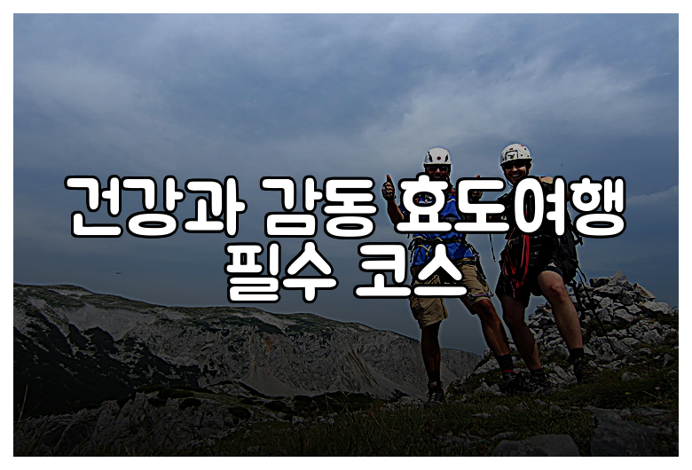 건강과 감동 효도여행 필수 코스