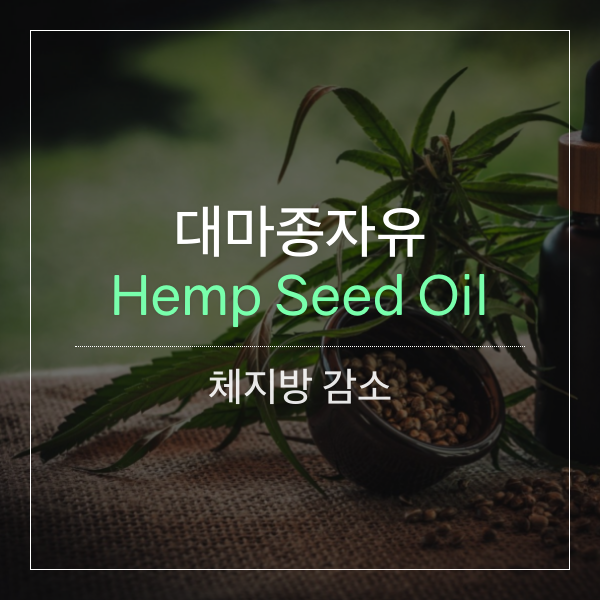 [건강식품] 대마종자유(Hemp Seed Oil)에 오메가3 만 들었을까?