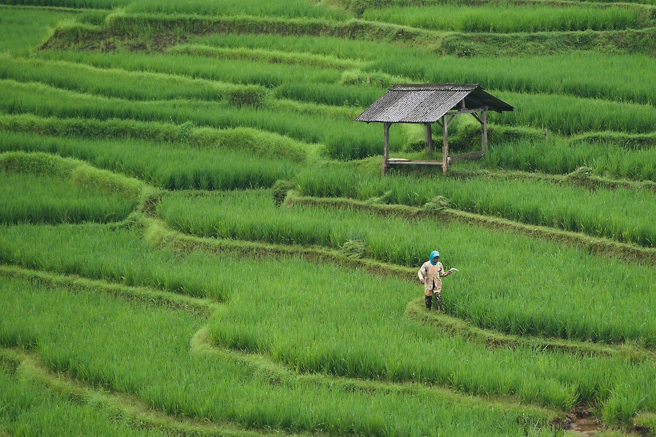 전국 산업단지