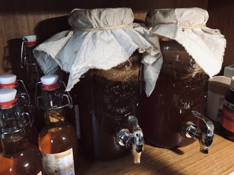 '콤부차(kombucha)' 직접 만드는 먹는 법, 똑똑한 집에서 살기 때문에 집에서 몸에 좋은 3