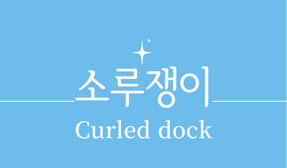 &#39;소리쟁이 소루쟁이(Curled dock)&#39;