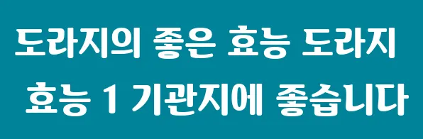 도라지의 좋은 효능 도라지 효능 1 기관지에 좋습니다