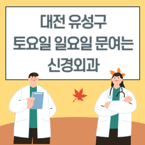 대전 유성구 토요일 일요일 신경외과 진료 문여는 병원 리스트