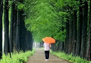 세이 이미지