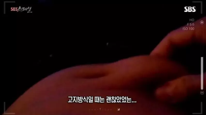 저지방 고탄수화물 식단