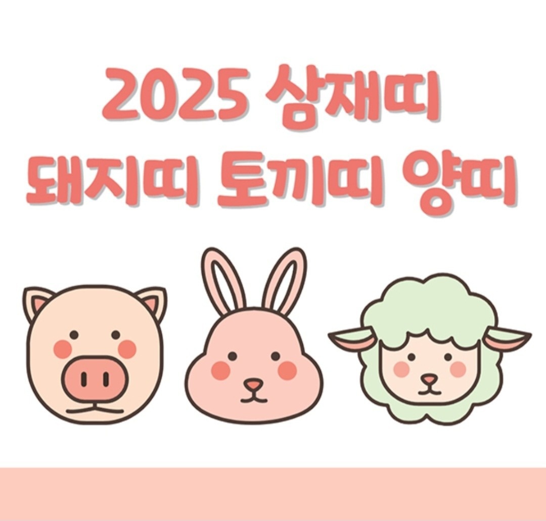 25년 삼재띠 04