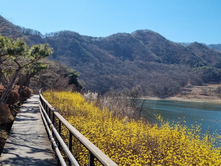산책로