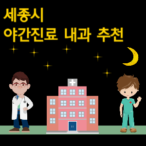 세종시 내과 야간진료 병원 추천