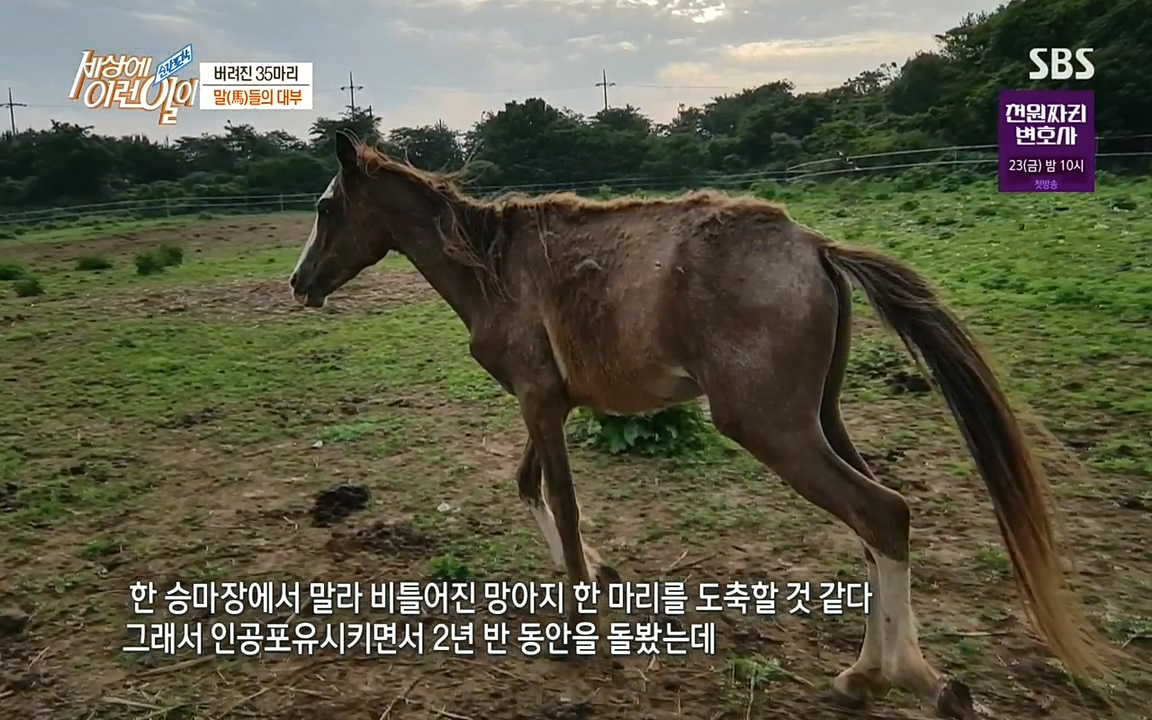 순간포착 세상에 이런일이.E1198.220920.H265p-BULDU.mp4_20220921_200822.023.jpg