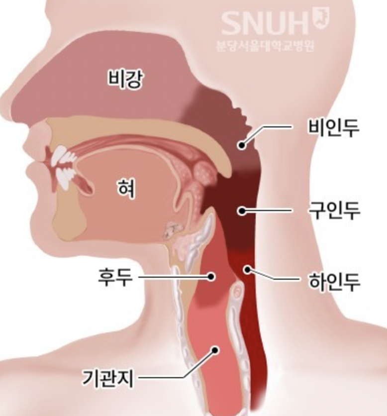  코로나 자가키트 안아프고 올바르게 하는 법