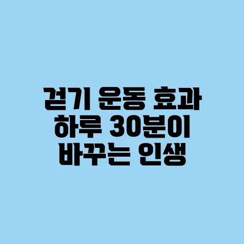 걷기 운동 효과 하루 30분이 바꾸는 인생