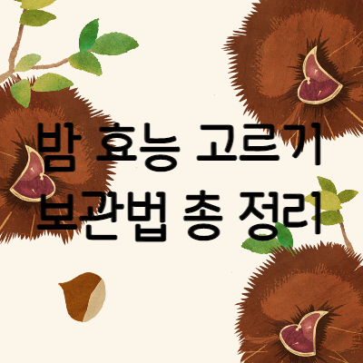 밤 효능