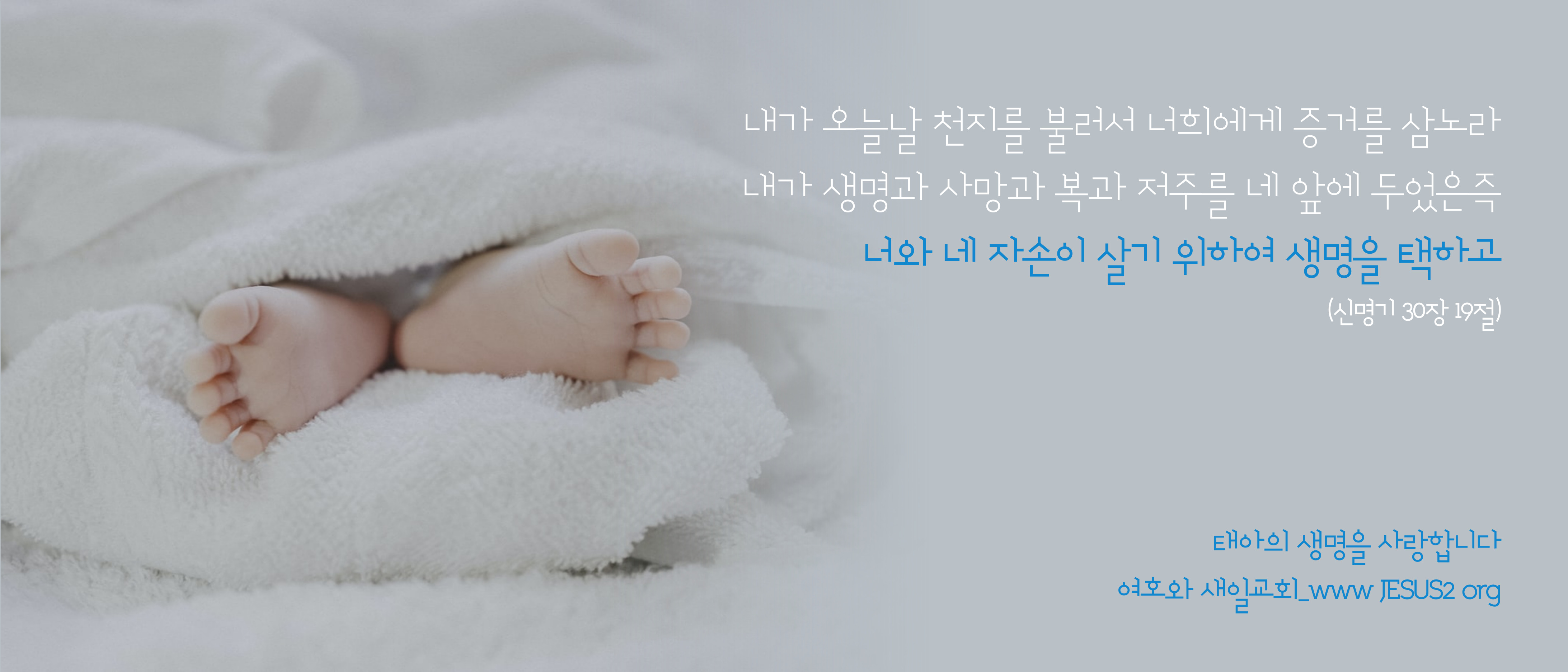  새일교회 난구절특강 | 154. 도성인신에 대하여 (요 1:14)