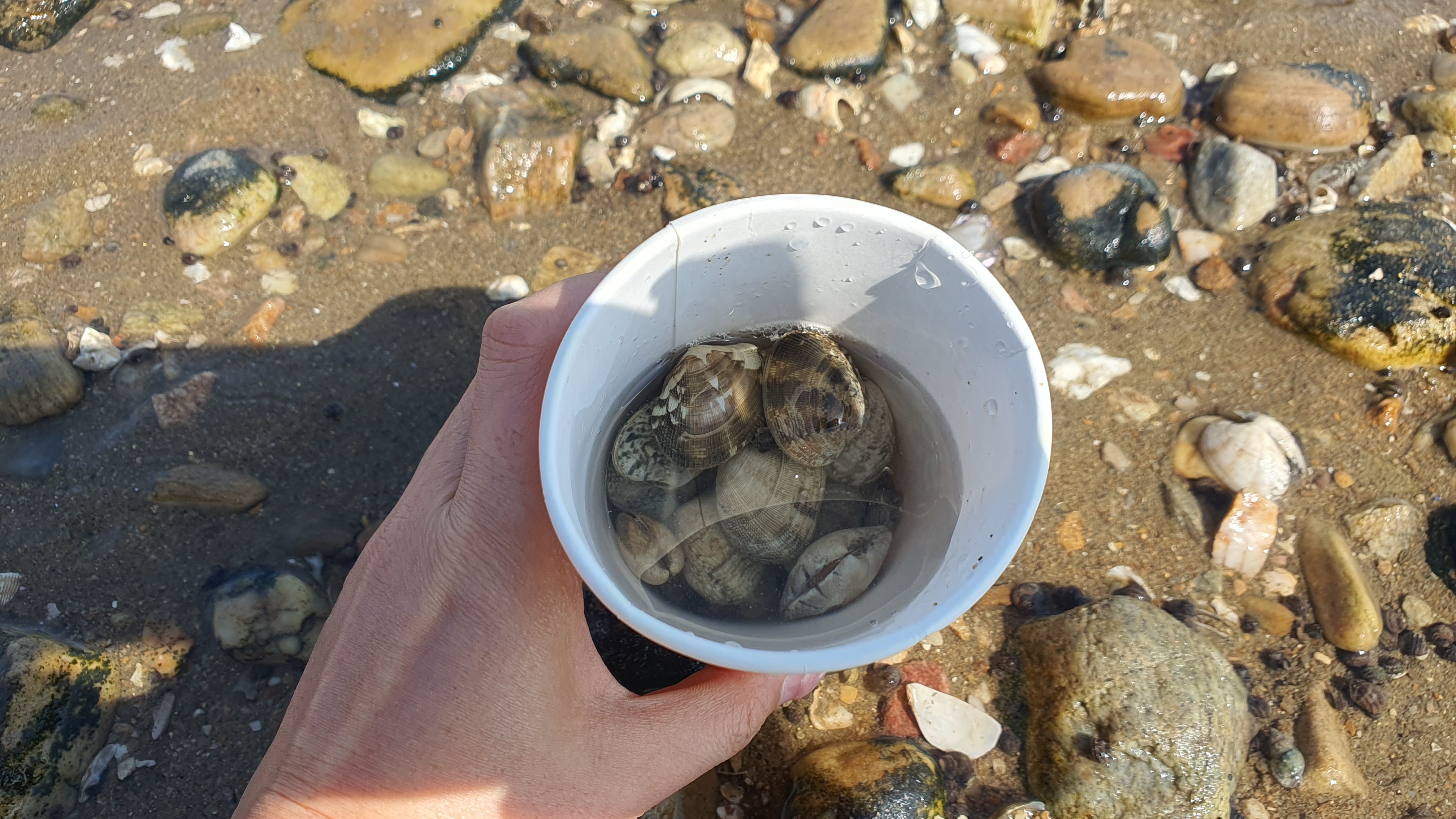 당진 여행 일출 예쁜 오션뷰 차박 캠핑장 해와랑 해루질 가능